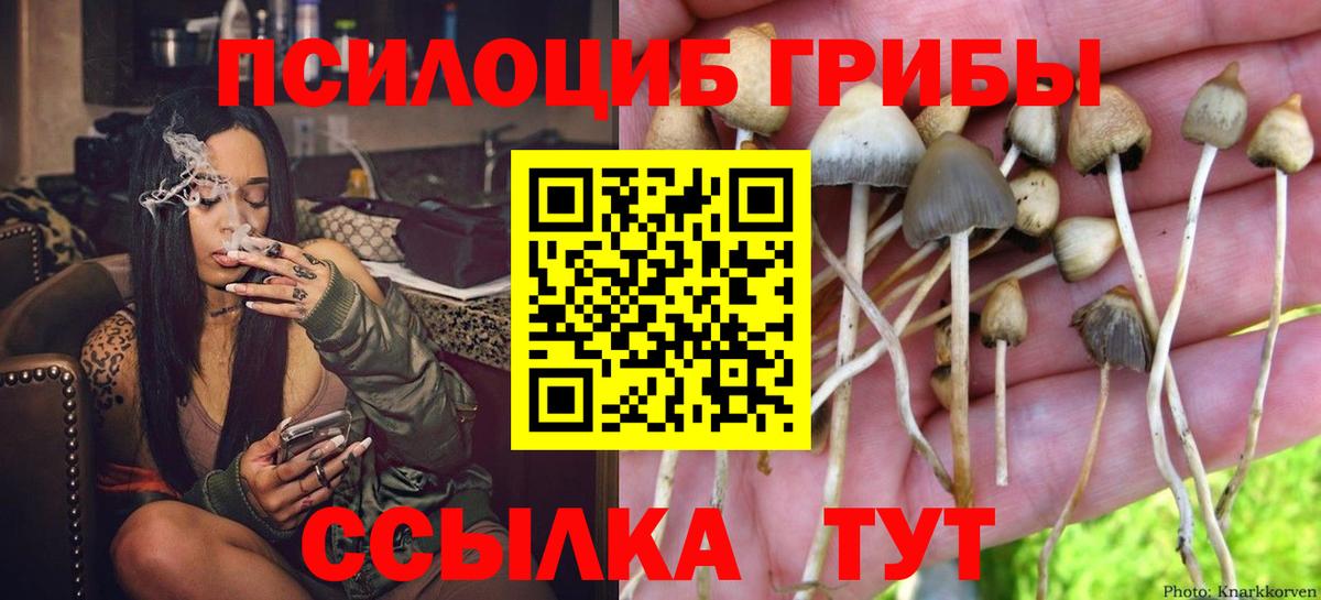 закладки  Псилоцибиновые грибы Cubensis  Вход с VPN  Санкт-Петербург 